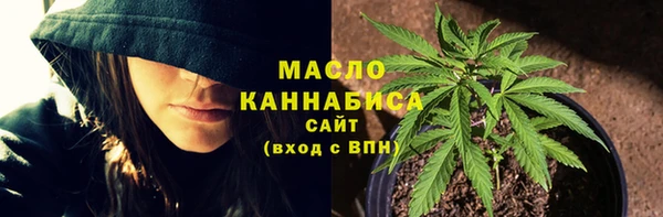 амф Козловка