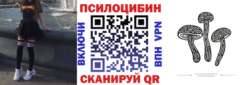 Псилоцибиновые грибы Psilocybe  Купить закладки  Богородск 